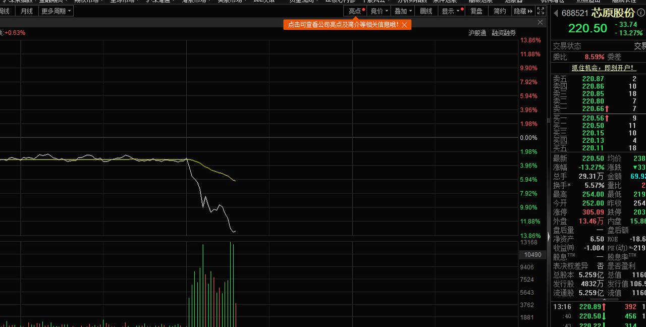 午后放量跳水，股价暂时下跌13%，最新价222元左右。

作为一只百元股又是芯片