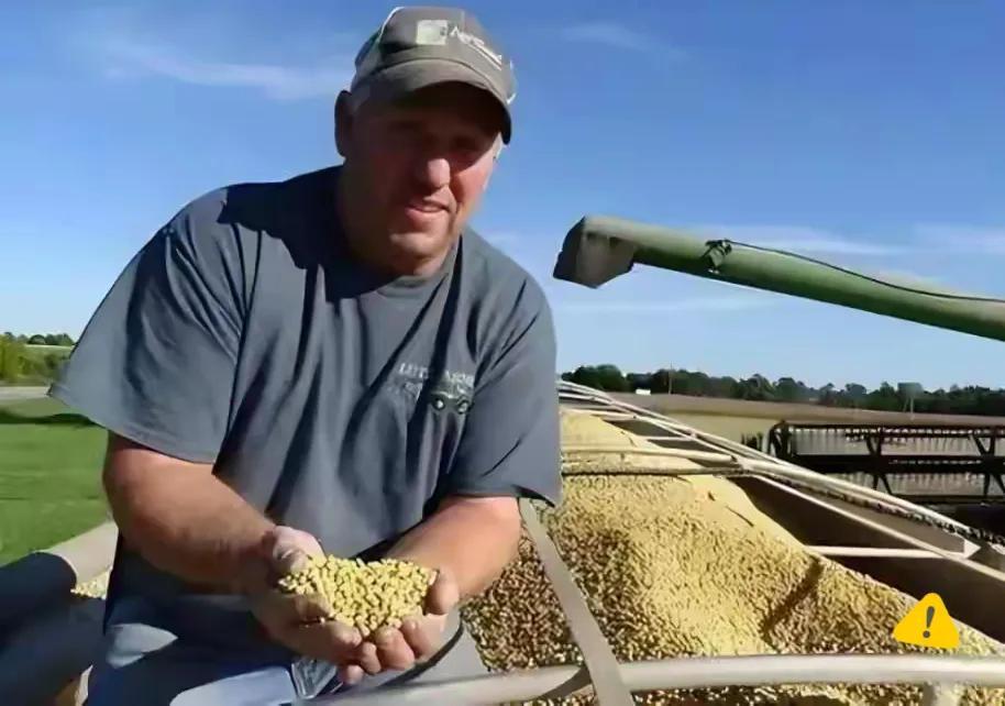 当18万吨美国大豆订单在芝加哥期货交易所落笔的那一刻，全球大豆贸易的棋局悄然翻转