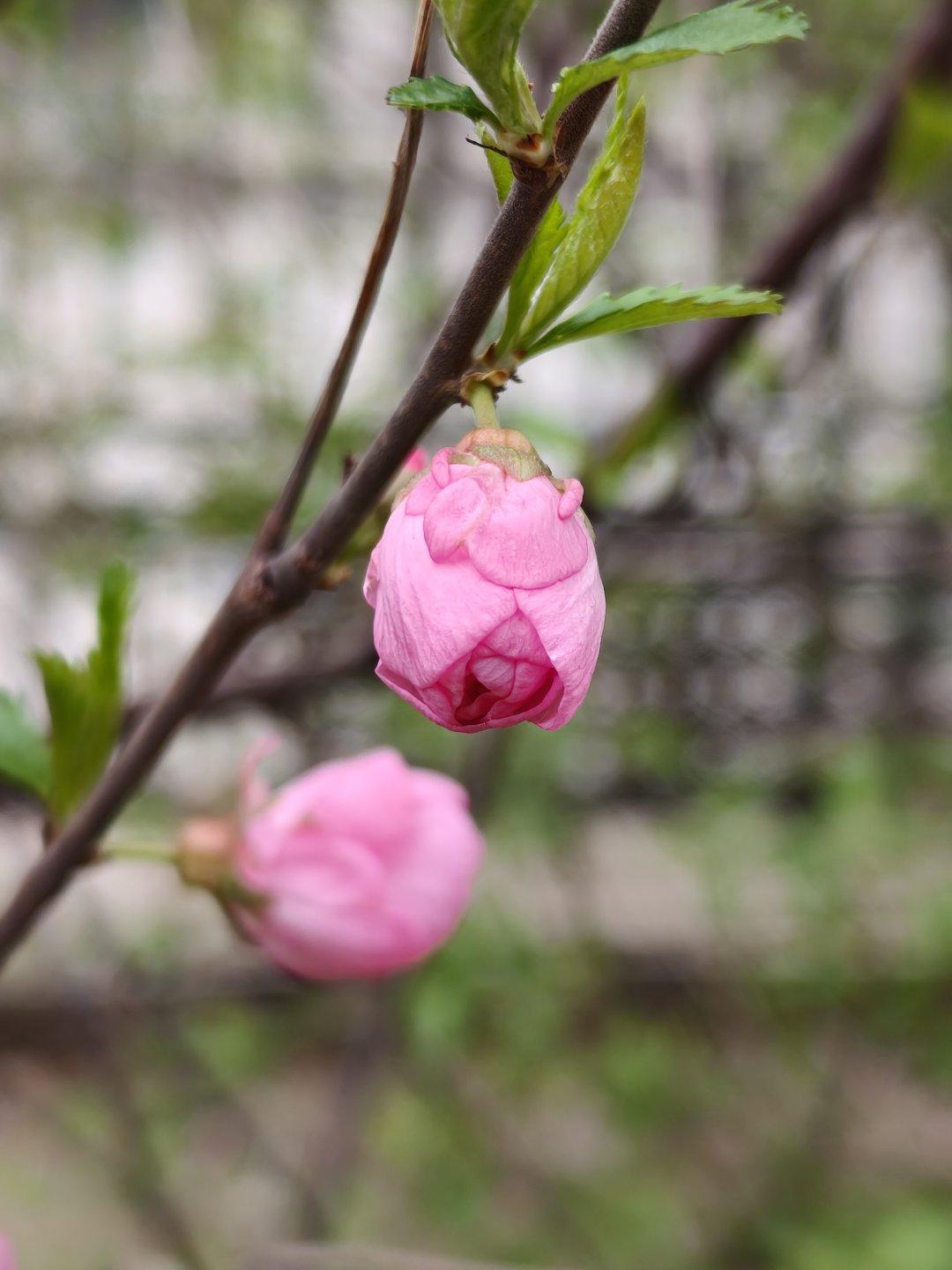 今天气温有点低，一天没有见到太阳。真的有一点想他。想要的温暖。