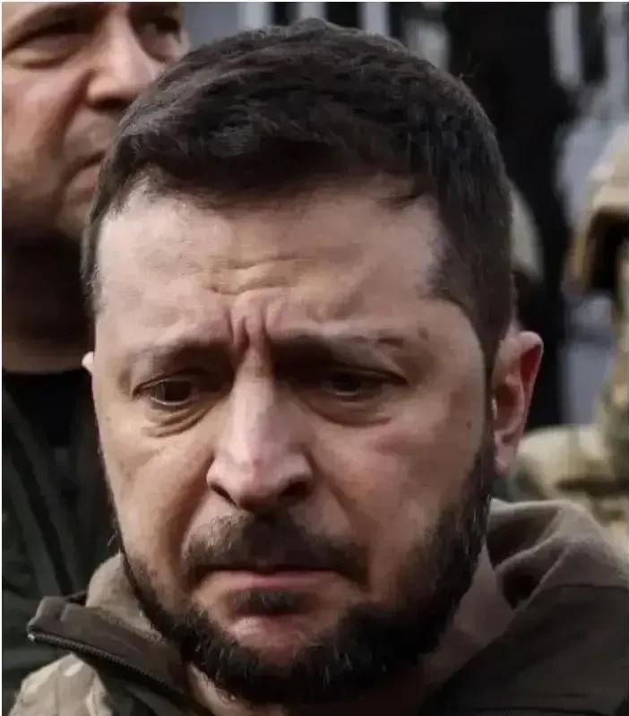 泽连斯基在安全保障这一点上还是清醒的。
     尽管以英法德一众老欧洲声言为乌