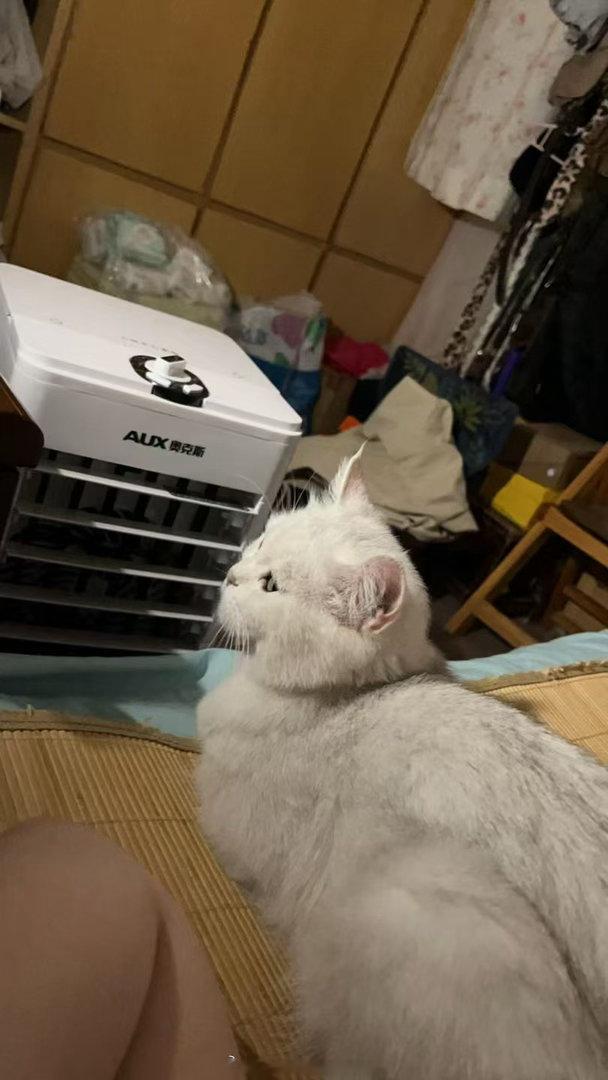 白裙子特别美啊 