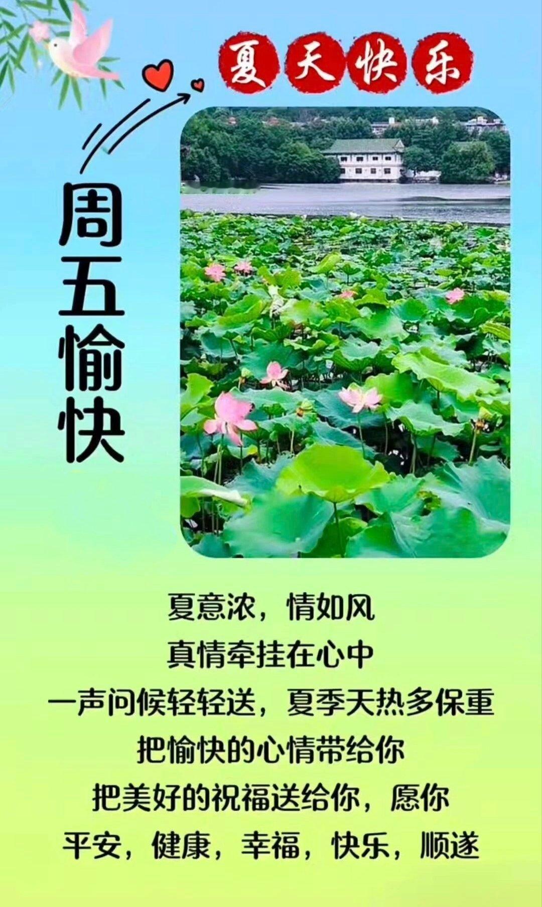 【健康养生】1）夏季在空调房时建议披一件薄外套，重点护住后颈、肚脐/腰腹、膝关节