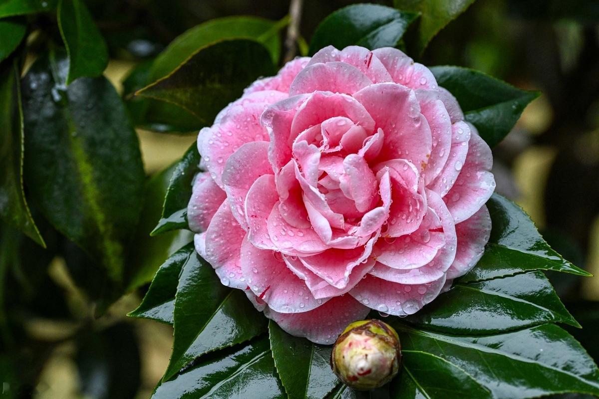 随着年龄的增长，我们愈加发现，或许我们并不是失去了一些人，而是更加懂得到底谁才是