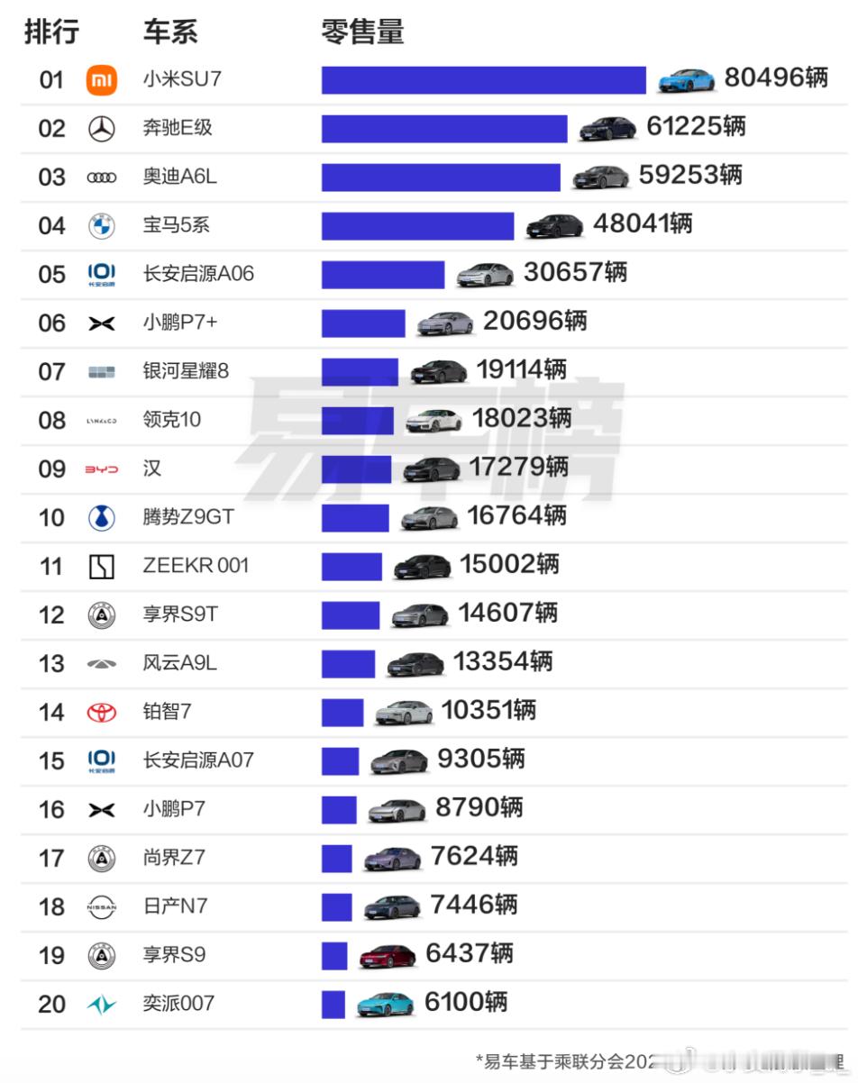在中大型轿车细分市场，小米SU7成为销冠，长安启源A06闷声发大财的感觉，排在5