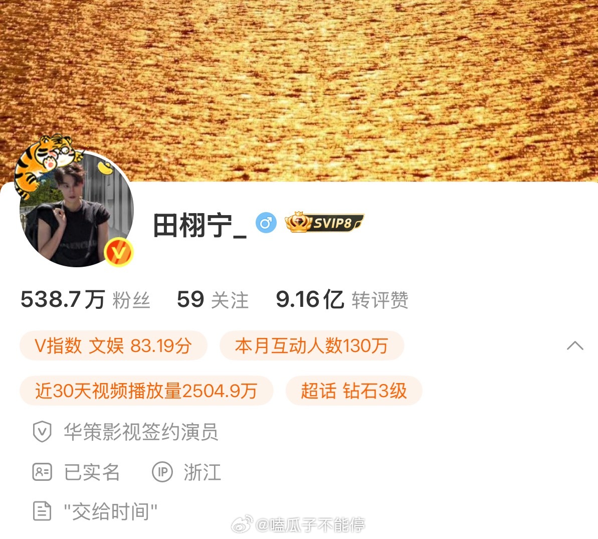 田栩宁的简介“交给时间” 