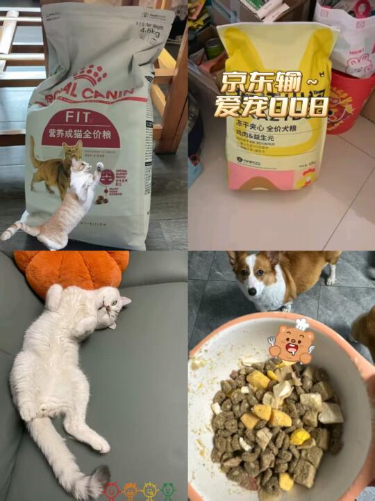 这俩小乖真是各有各的毛病啊....