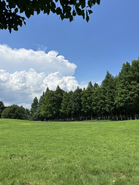 杭州小新西兰🌳免费大草坪太出片了！！！