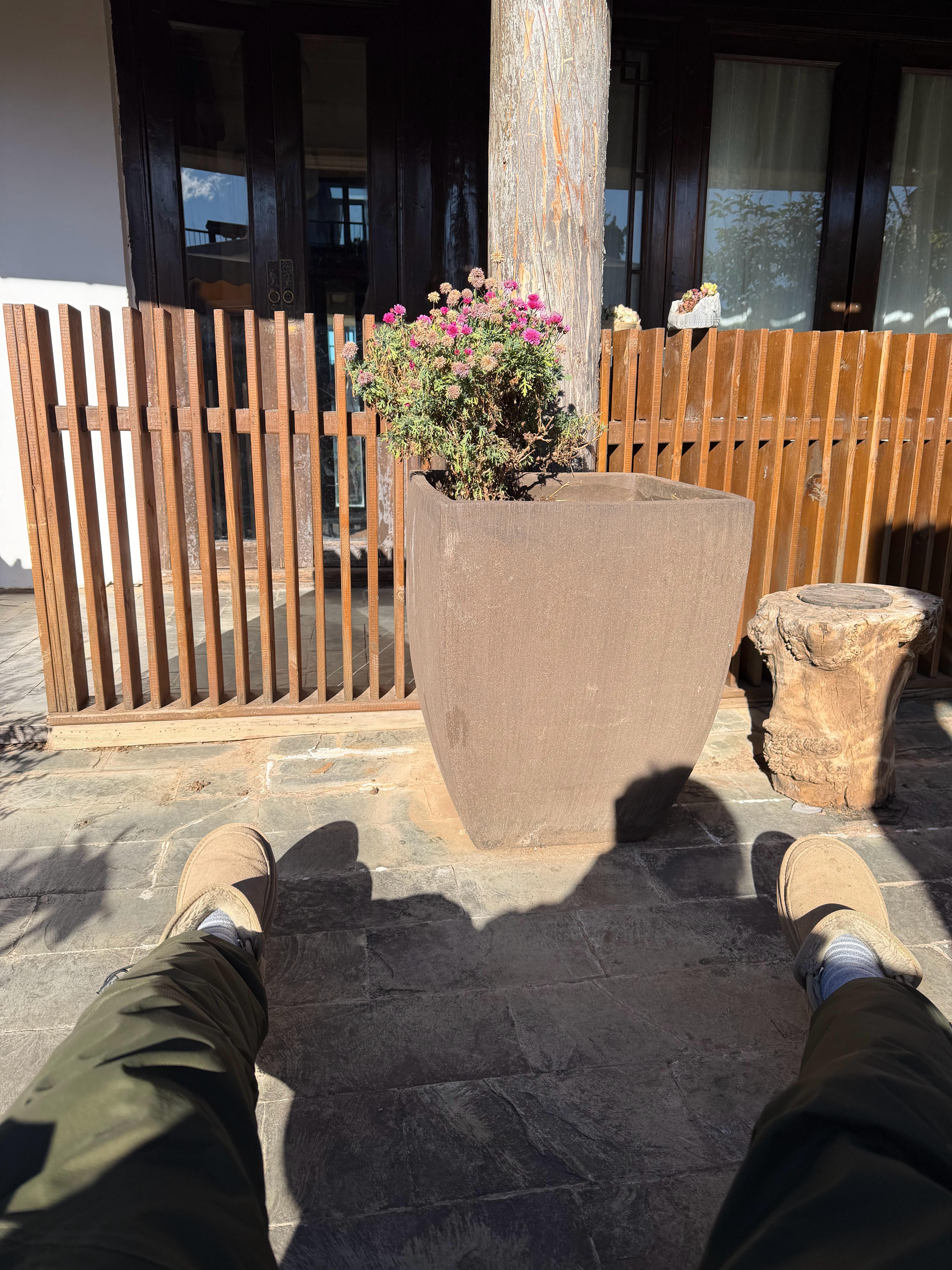 跑完步，洗完澡，洗衣物，再坐在院子晒太阳，喝茶，静静地感受各种神经奖励机制在被激