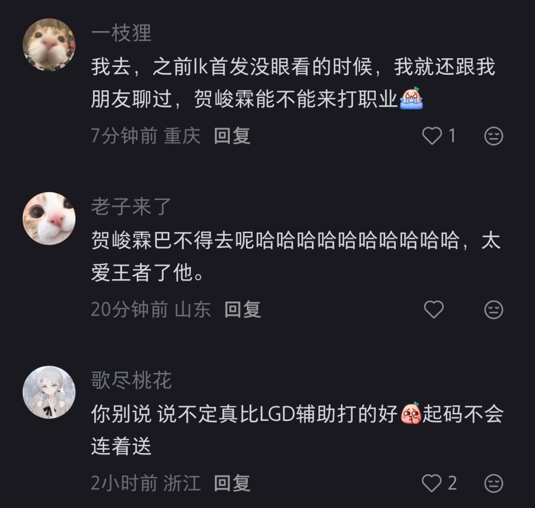 江湖上一直流传着小贺贺顶级辅助的传说:-D（但野王哥哥什么时候现身一下、） 
