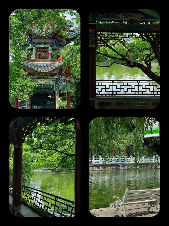 “没有人会在翠湖自杀”尤其是春天的！