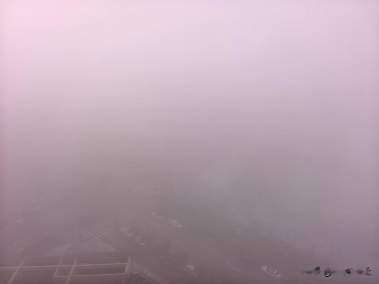 今天的雾，格外的大，像给万物罩上了一层朦胧的轻纱。