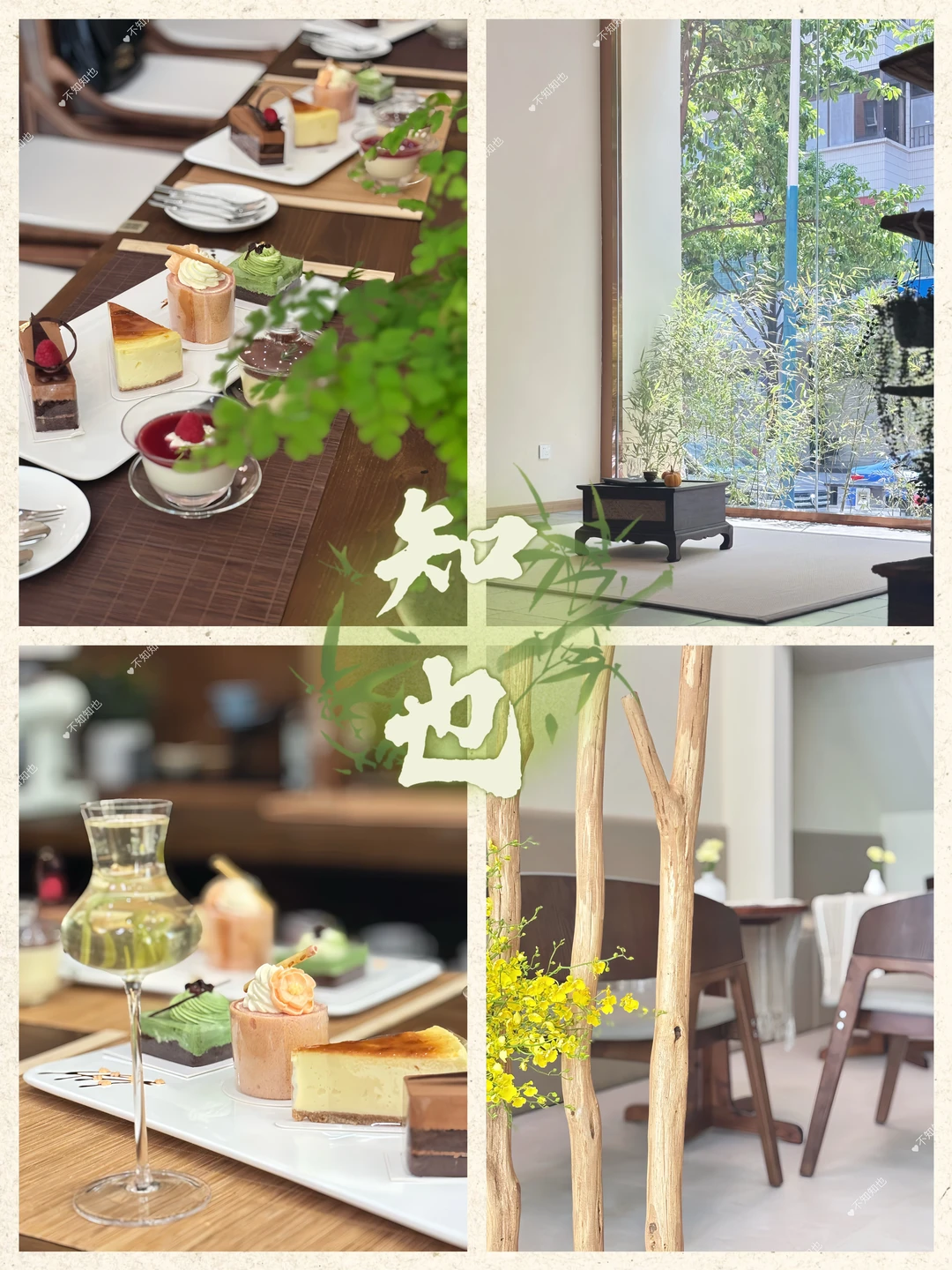 「知也」：独行“刺猬”的优雅下午茶💚