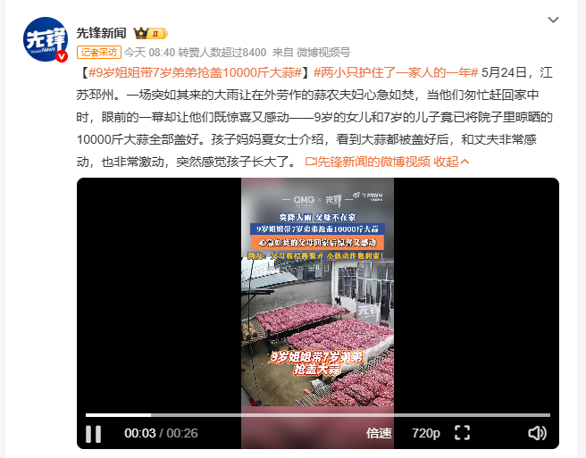 9岁姐姐带7岁弟弟抢盖10000斤大蒜 5月24日，江苏邳州突降大雨，蒜农夫妇匆