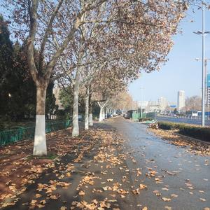小赵新观点