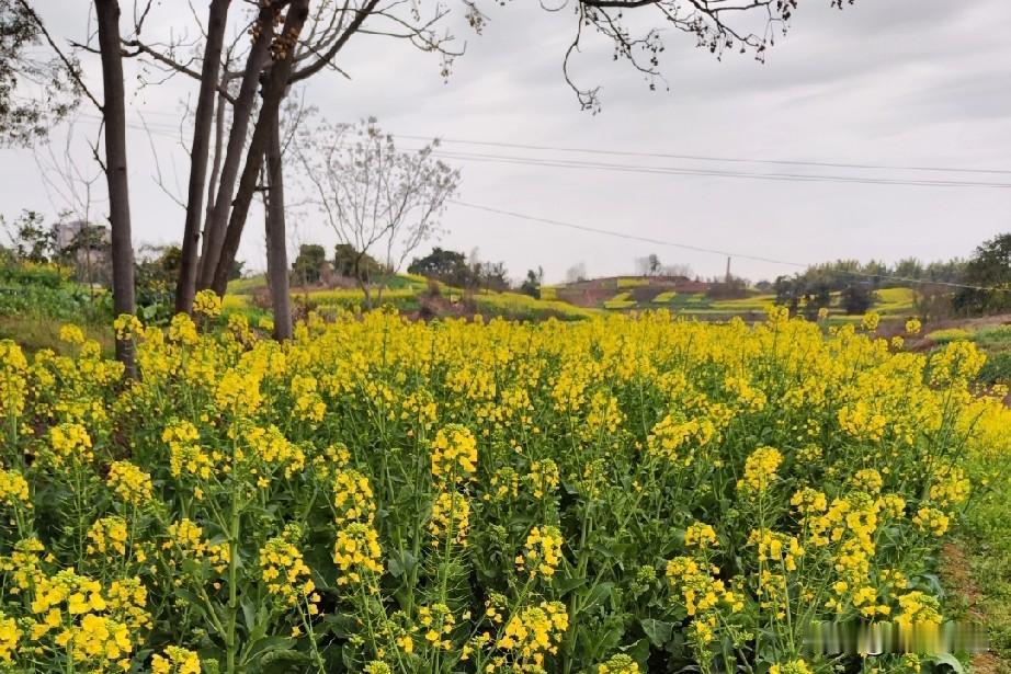 回老家收拾老房子，要找两个帮助手。转了半天也没有找到合适的人，就在路边店喝茶。