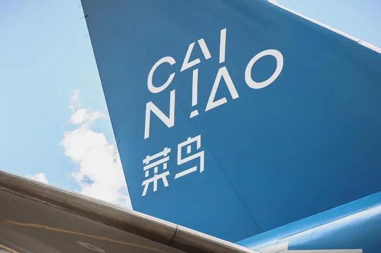 物流是经济迅速发展的大动脉，中国希望建立全球物流网络，鼓励中国企业加大在海外的布
