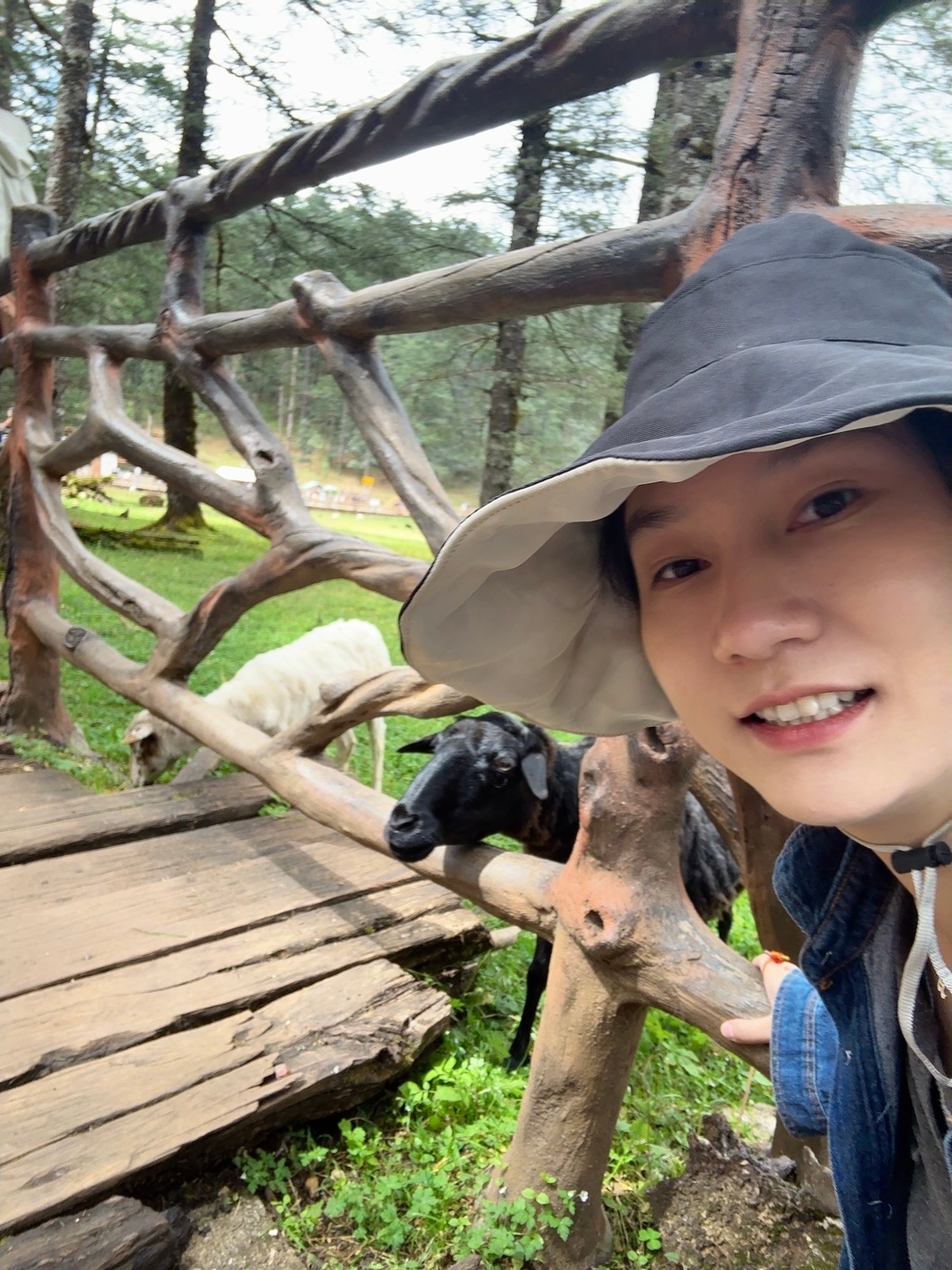 与小羊“肖恩”合影🐑 