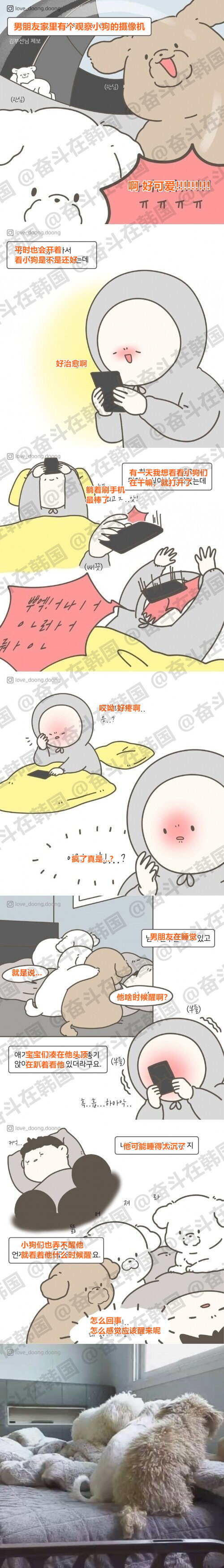 男友家的小狗观察相机后记~海外新鲜事 热点现场