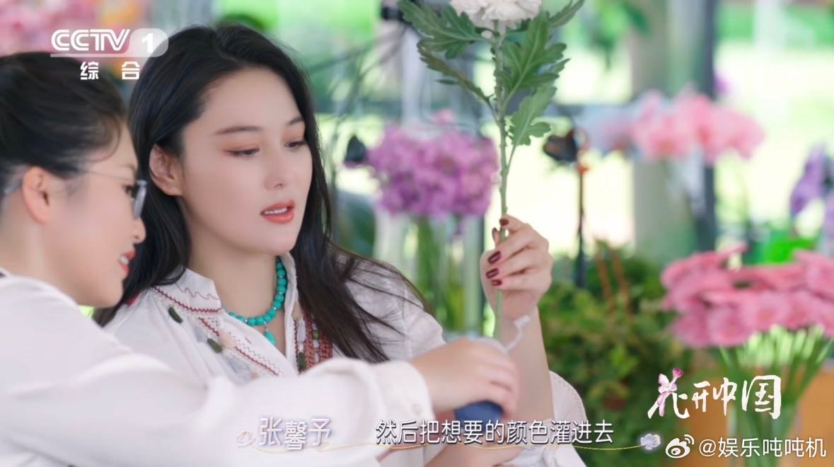 鲜花变装好惊艳原来菊花也能染色 云南花卉科技新标杆！“七彩云菊”以生理吸色实现自