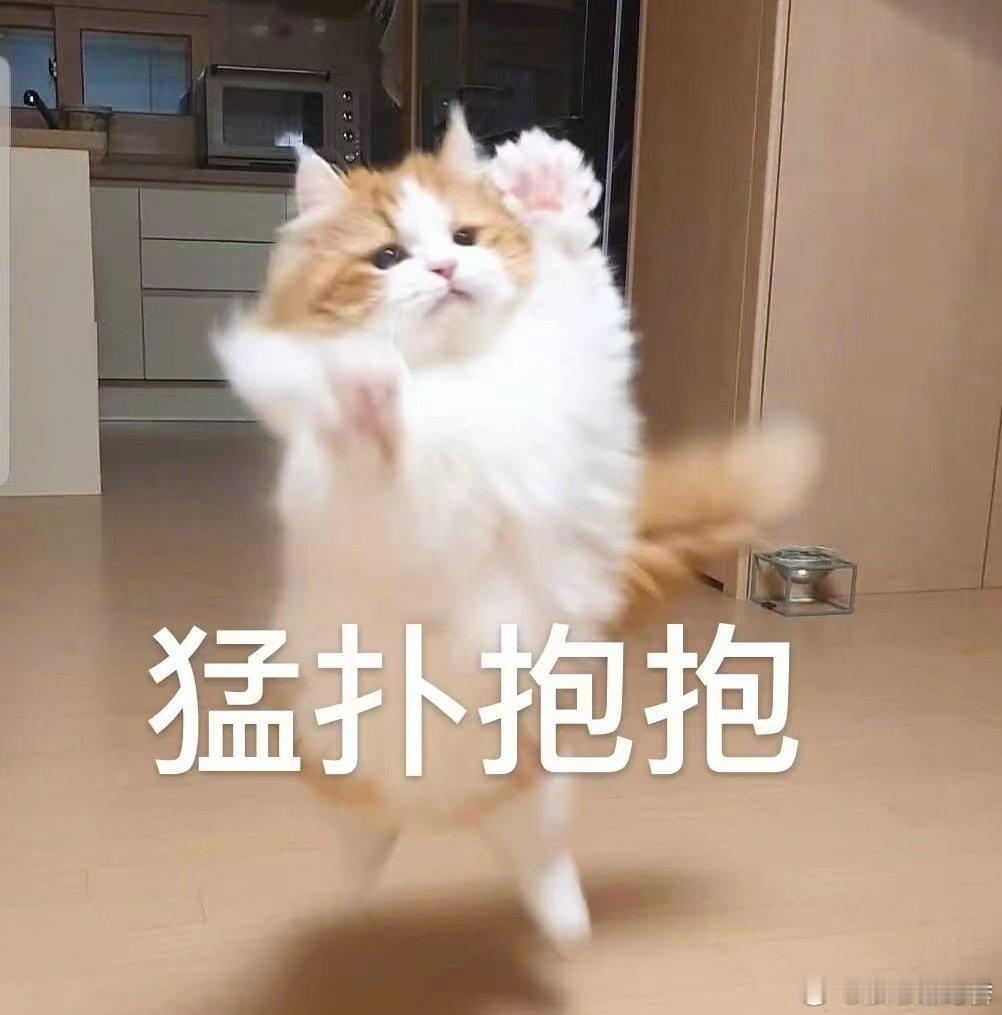 养宠物会替你解决相亲的烦恼 同为铲屎官，相亲时对宠物的关心与爱护，是相互吸引的强