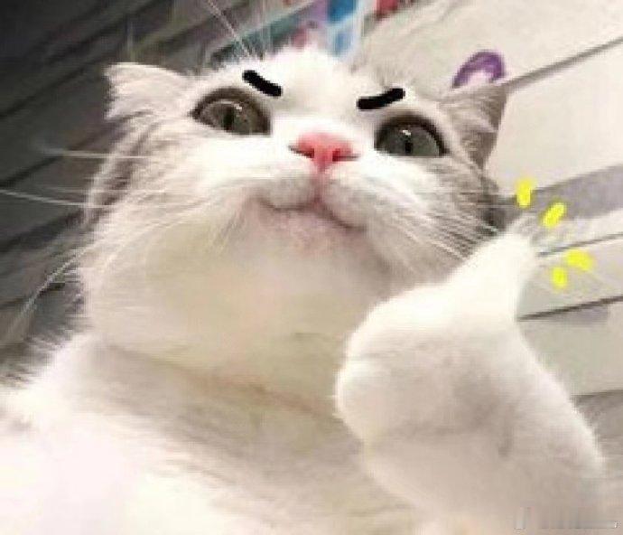 过年时候的满级好状态开年一起超吉旺吉利汽车携手旺旺跨年，在一起主题超治愈，解锁开