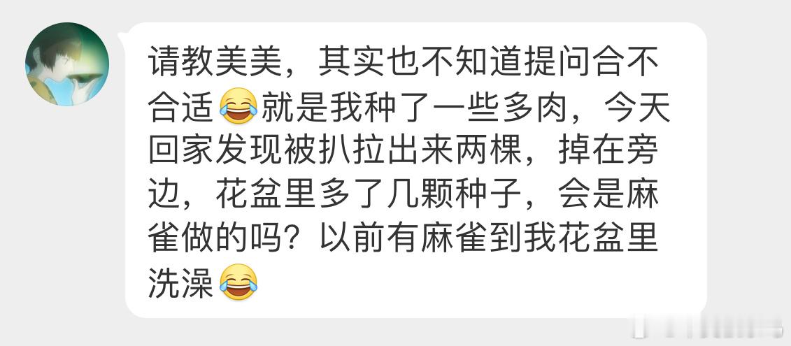 ？？？嚯嚯多肉，然后丢几颗种子🙊麻雀：别冤枉我 ​​​