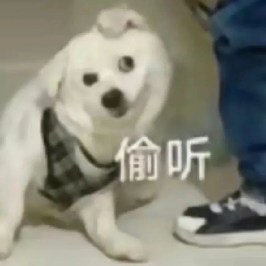 发癫的动态表情包：啊？ 更新不易，拿图点赞[心]更多表情包请看主页[心] ​​​