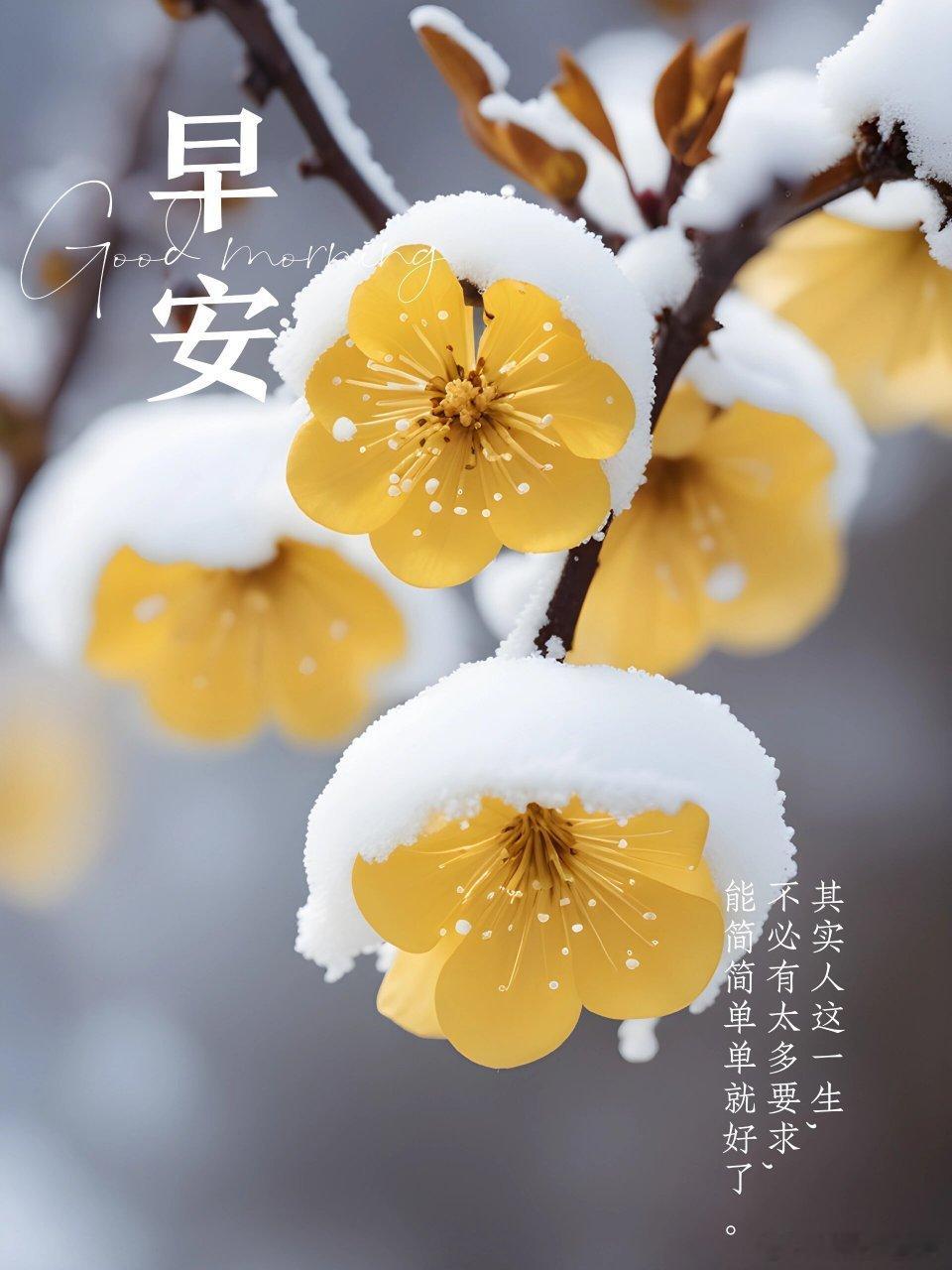 早安[心][鲜花]周末愉快[666][太开心] 