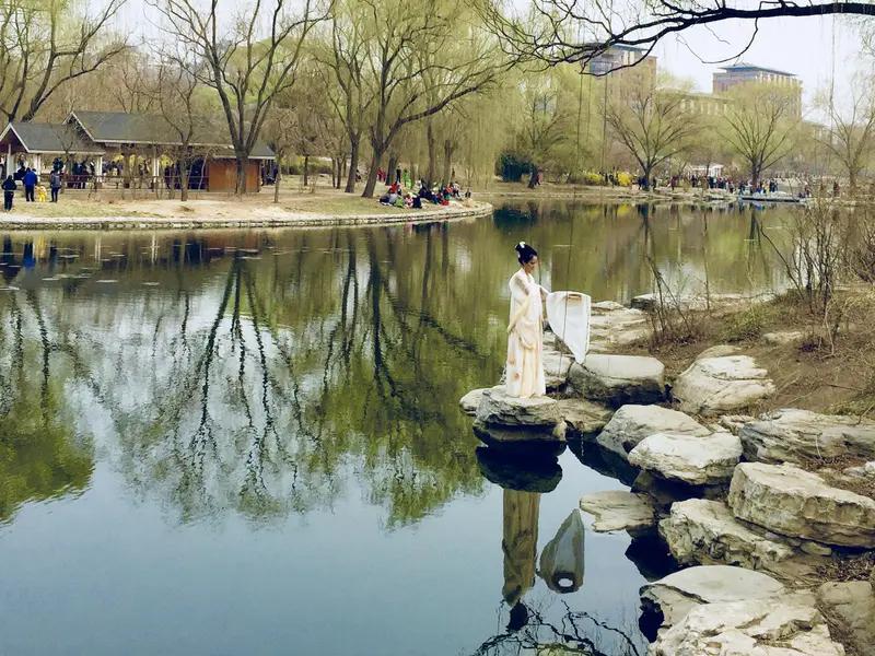 馨漪婉风所作的《七绝•探春》意境十足。“陌路拾春馥郁同”，宛如引领读者跟随诗人的