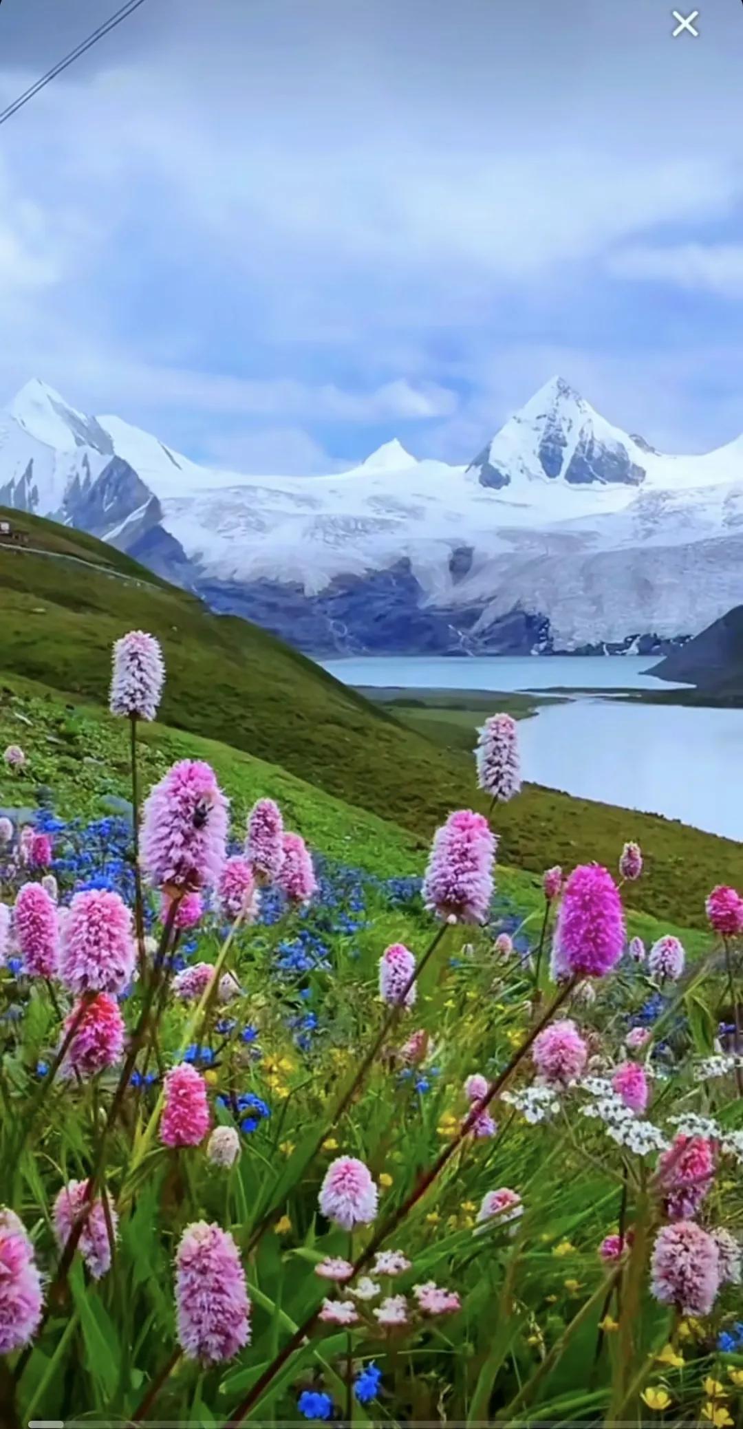 西藏的雪山是那么的高大，那么的圣洁，让人心里有种想要膜拜的感觉#风景# #西藏美