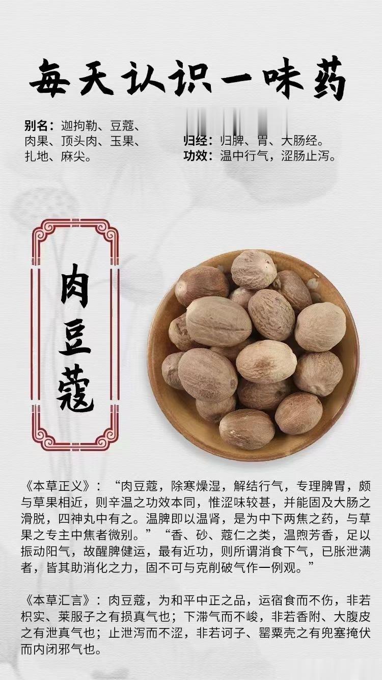 #健闻登顶计划# 【每天认识一味药】🌹肉豆蔻⭕别名：迦拘勒、豆蔻、肉果、顶头肉