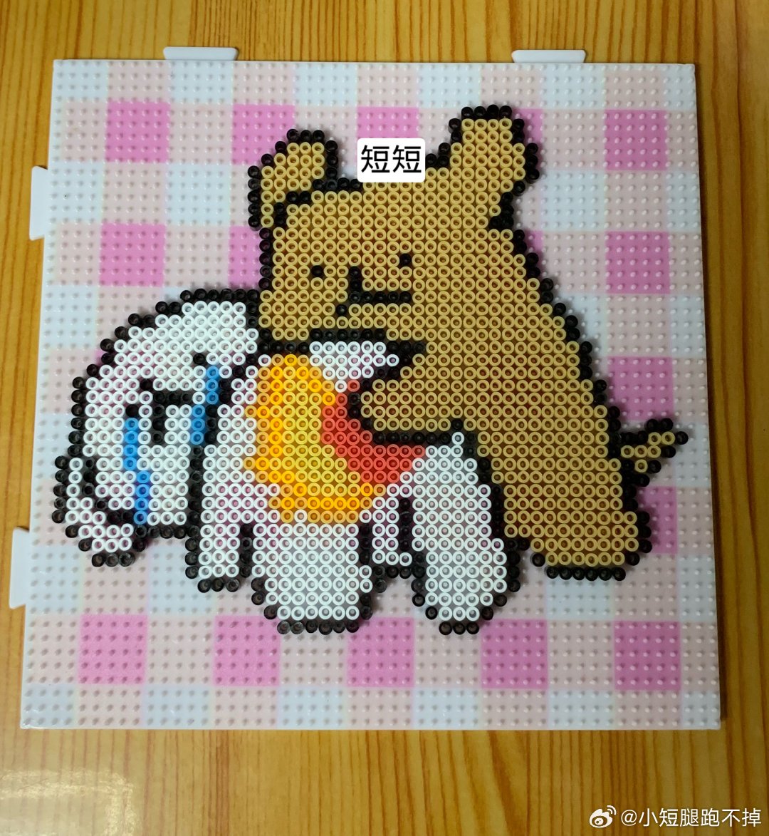 这小白狗是谁自己站出来吧[yeah][yeah] ​​​