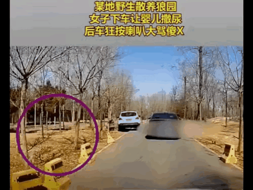 说实话
女人的思维有时候真的难以理解
一泡尿和一头狼
分不清谁更重要吗？[抠鼻]