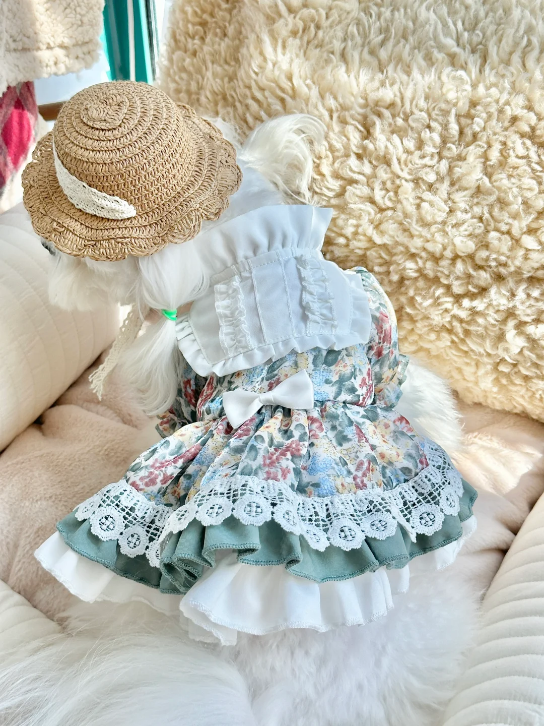 live图｜传说中的背影杀手