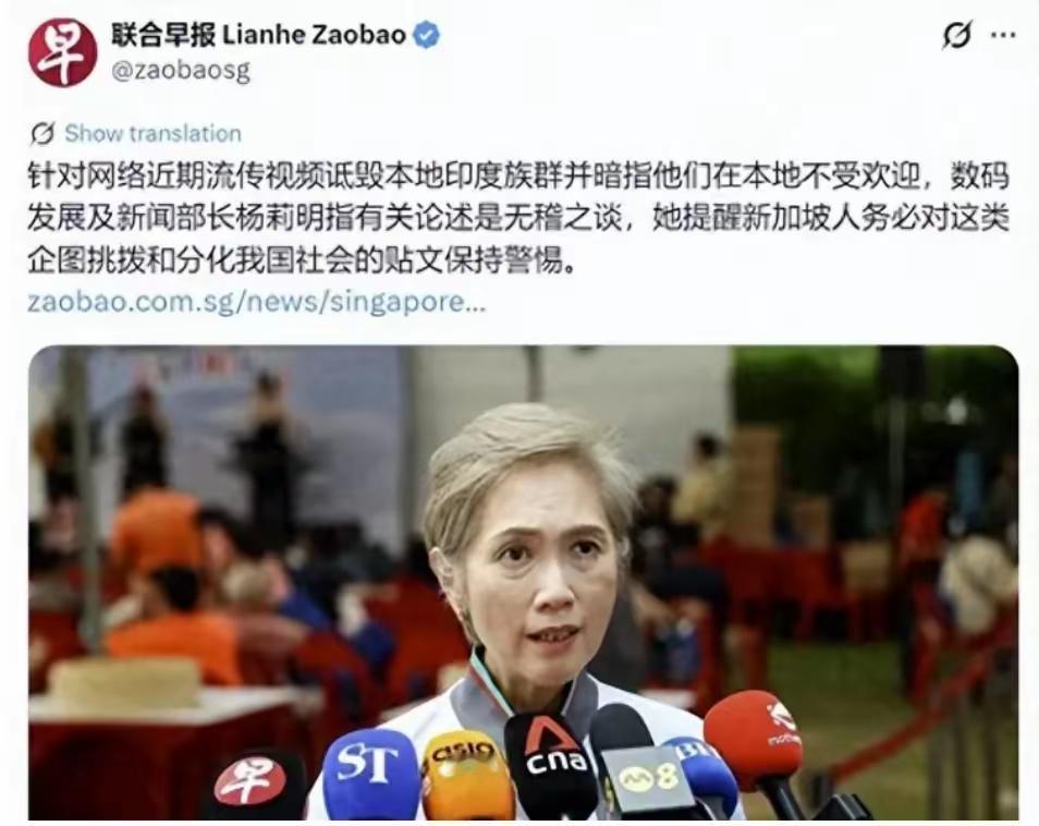​新加坡的华人似乎意识到了危机，开始警惕甚至抨击印度裔。虽然目前新加坡华人在人口