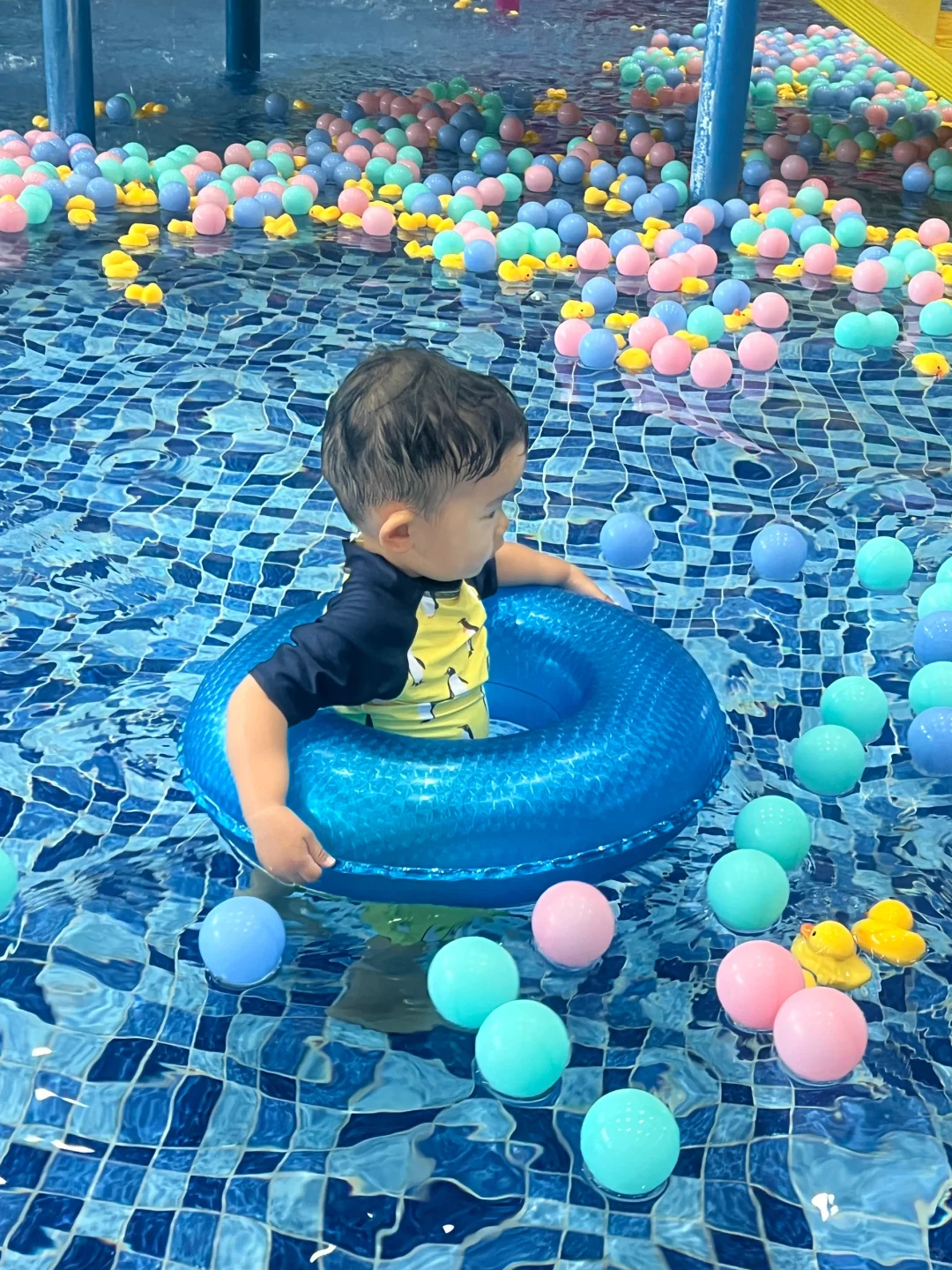游泳baby