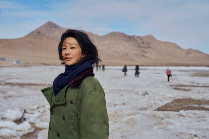 杨紫白菊在轻轻低语镜头下的杨紫白菊 杨紫白菊在轻轻低语 ​​​