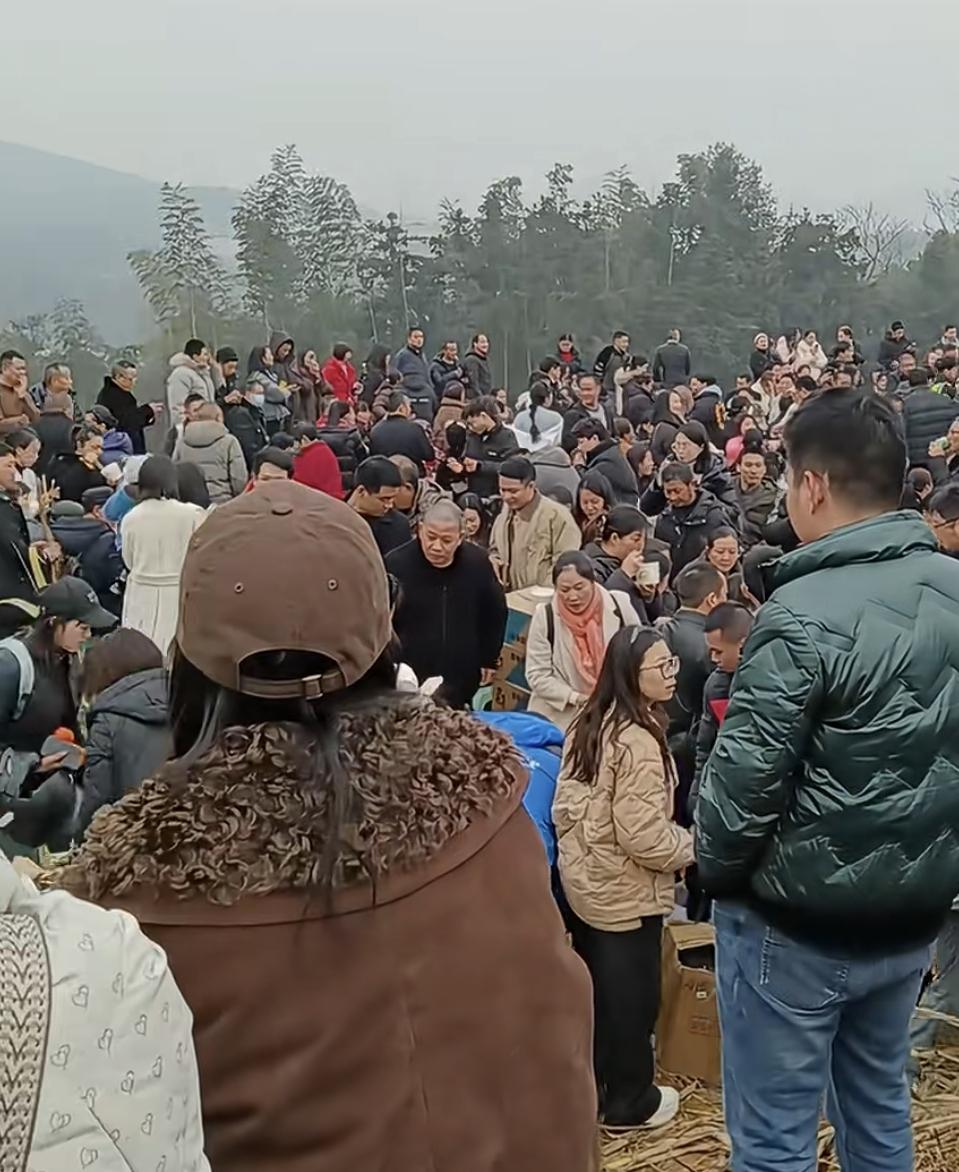 农村四哥今日的泡猪汤现场还可以哦！这些人都是近地的吧！这么快就在四哥家人等着啦！