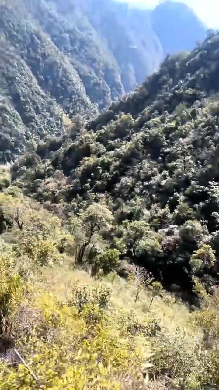 今天是三月的第一天，悄悄许个愿，愿晚上不失眠，卡里不缺钱。愿我们都有突如其来的惊