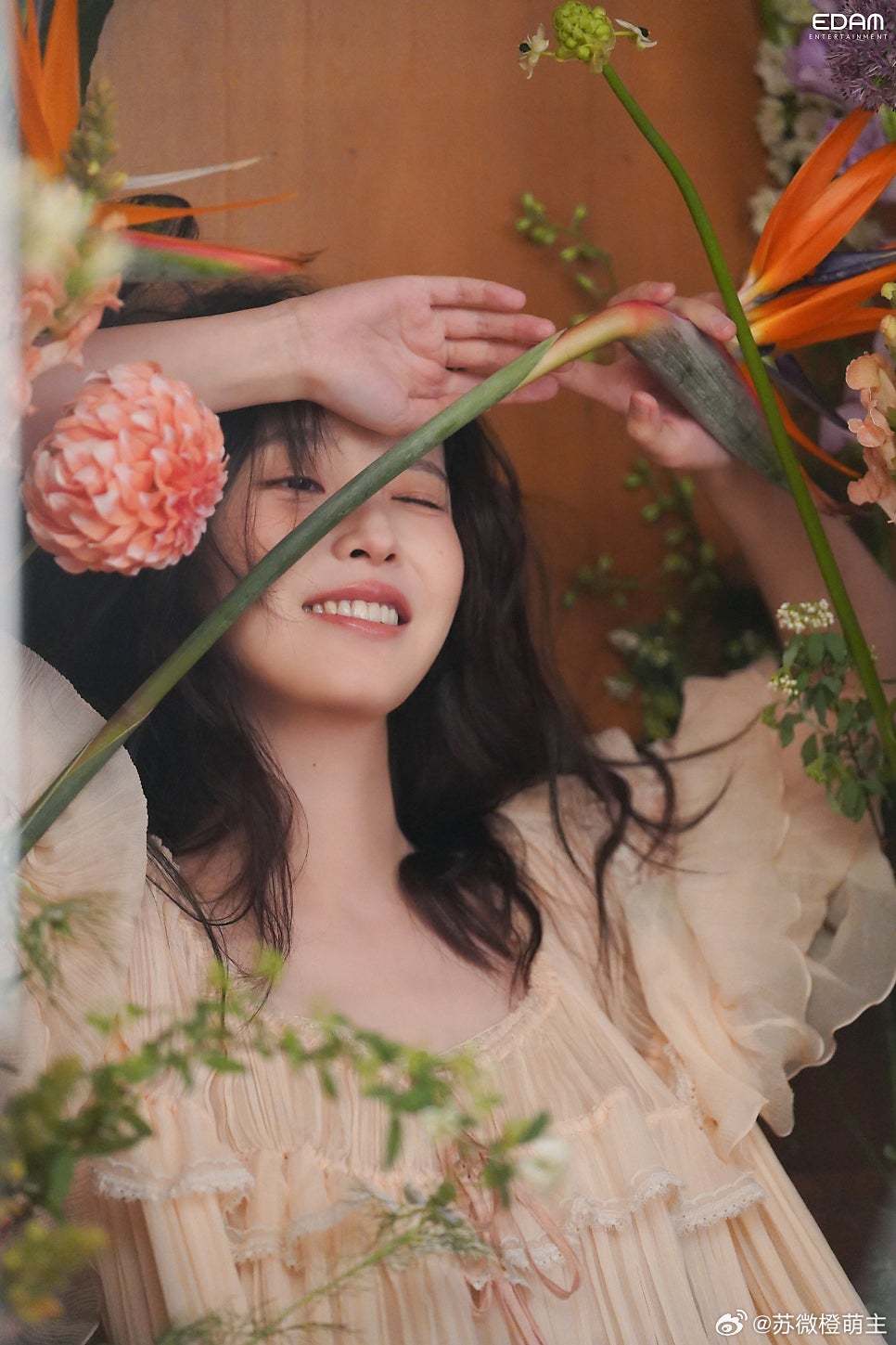 因为太美丽而词穷iu李知恩