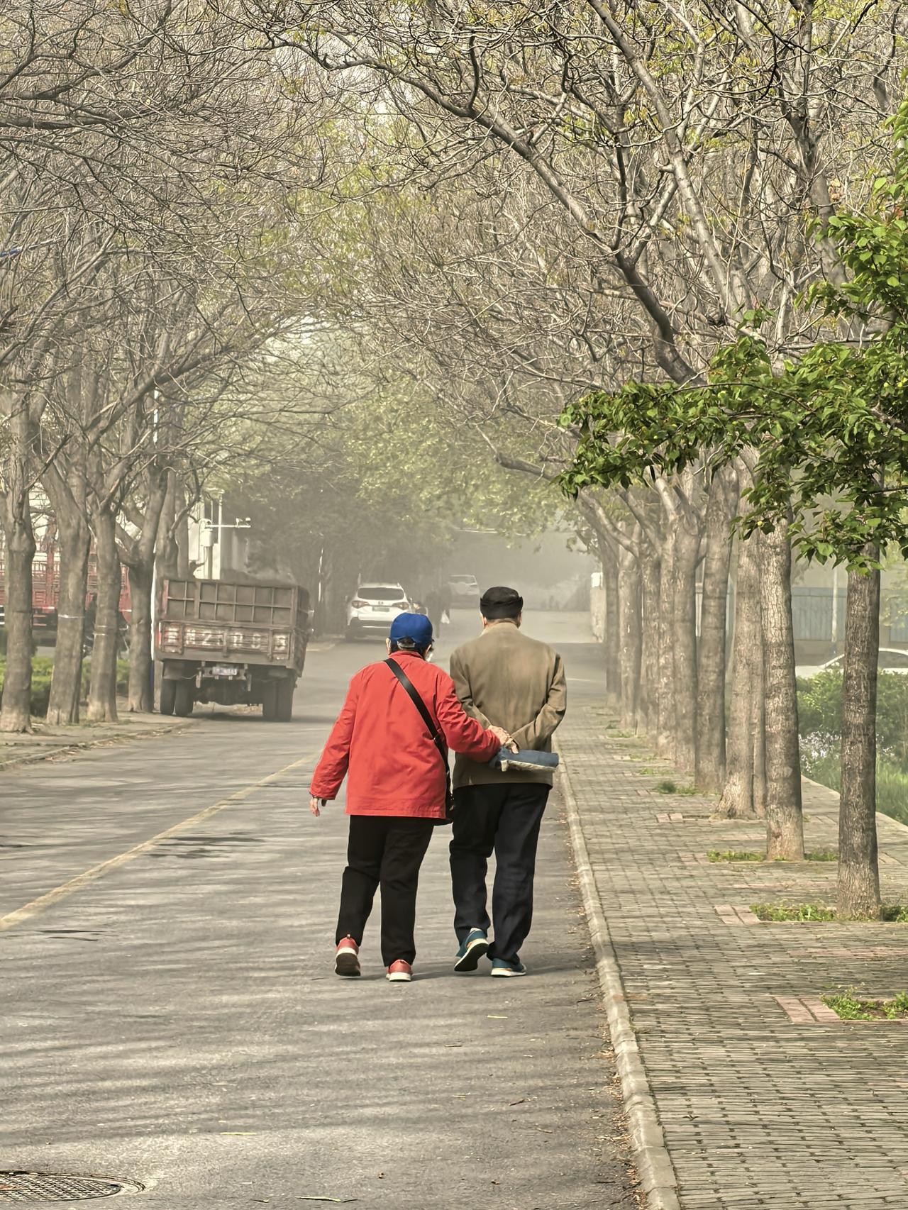 昨天下雾了，但几个溜友还是雷打不动9点指定地点集合溜达。

先到十字路口的友友在