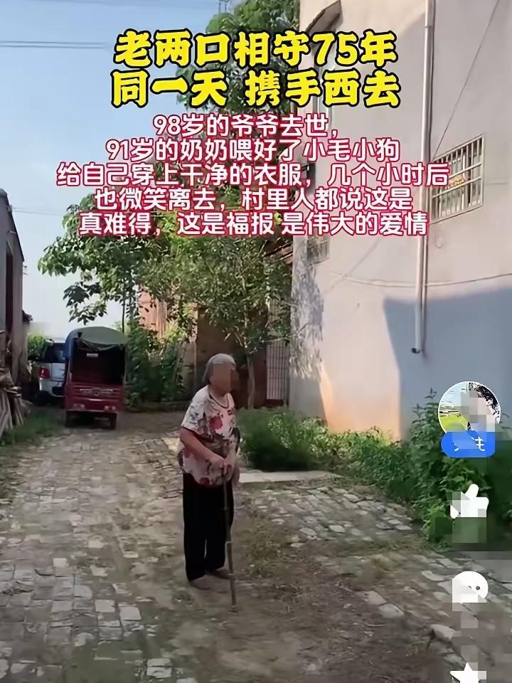 98岁爷爷清晨安详离去，91岁奶奶没掉一滴泪，先喂饱家里的猫狗，换身干净衣裳躺回
