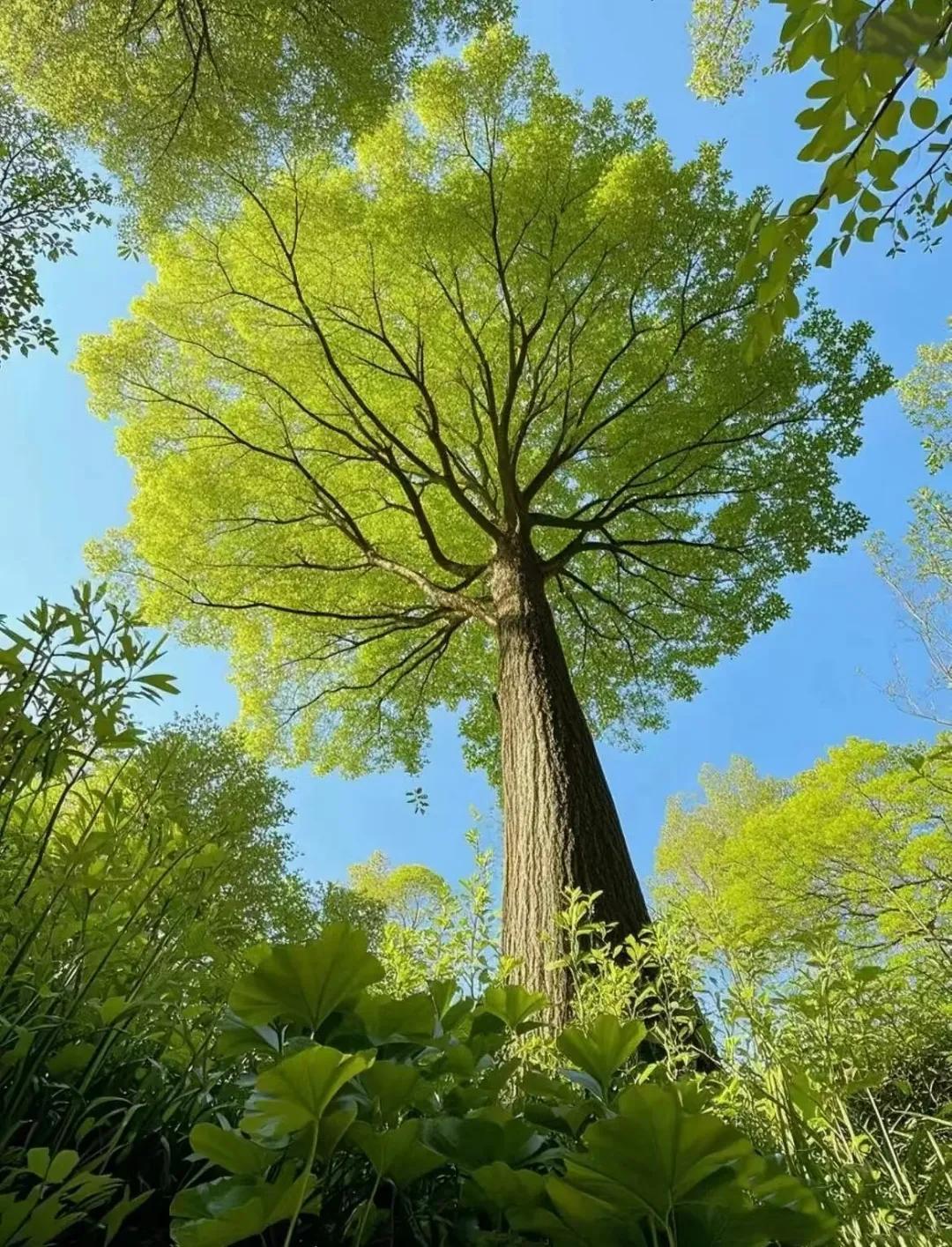 大学生就业难其实还有个问题，就是外包给第三方将岗位以不错的价格卖出去了(美其名曰