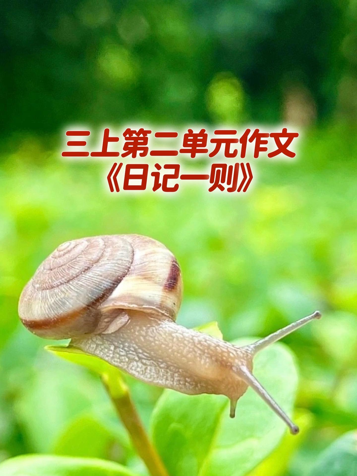 《日记一则》小学三年级上册第二单元作文《日记一则》