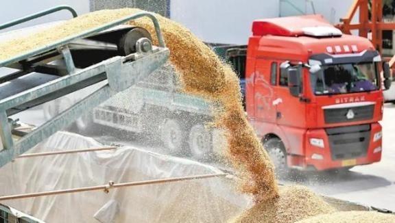 一旦全球停止出口粮食，中国能自给自足吗？说句扎心的，中国或许无法自给自足，但是主