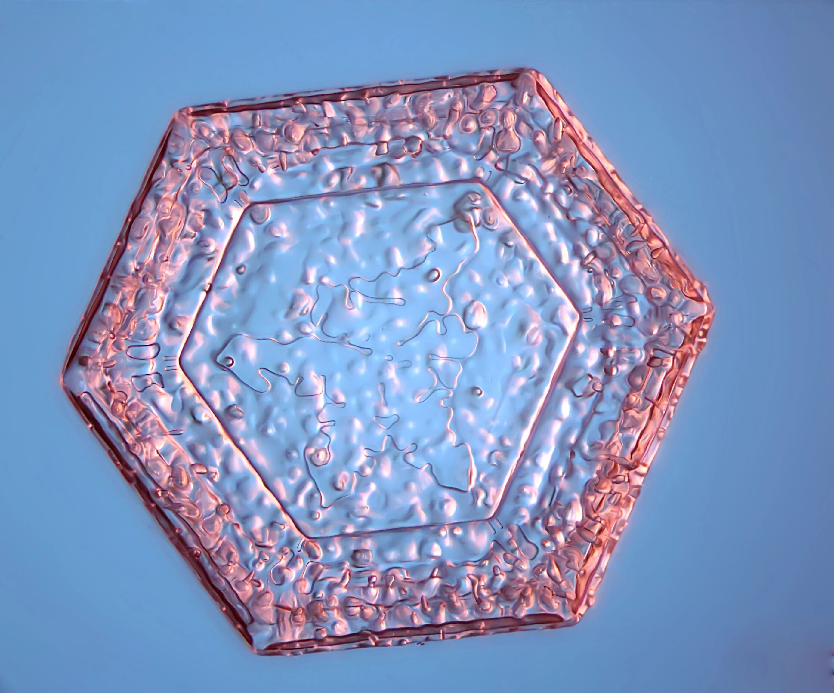 每天一条冷知识 雪花的形态主要依赖于生长环境的温度和湿度，如在极冷的环境中容易形