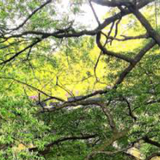 没有心宽似海，哪有风平浪静，做人，尽本分，做事，凭良心，穷时，要把自己当人，没人