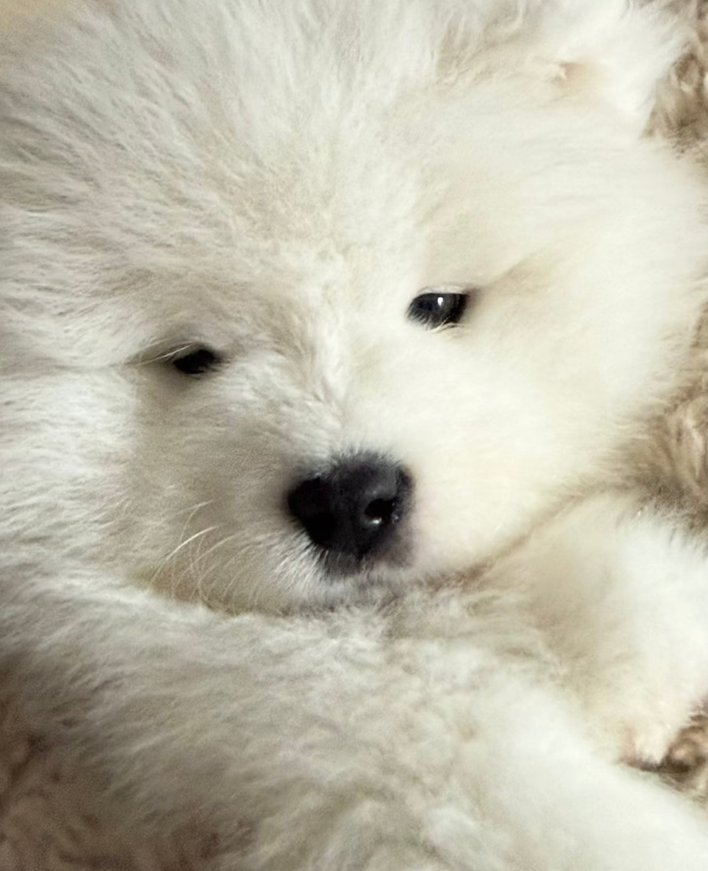 怎么又是周一了耶 