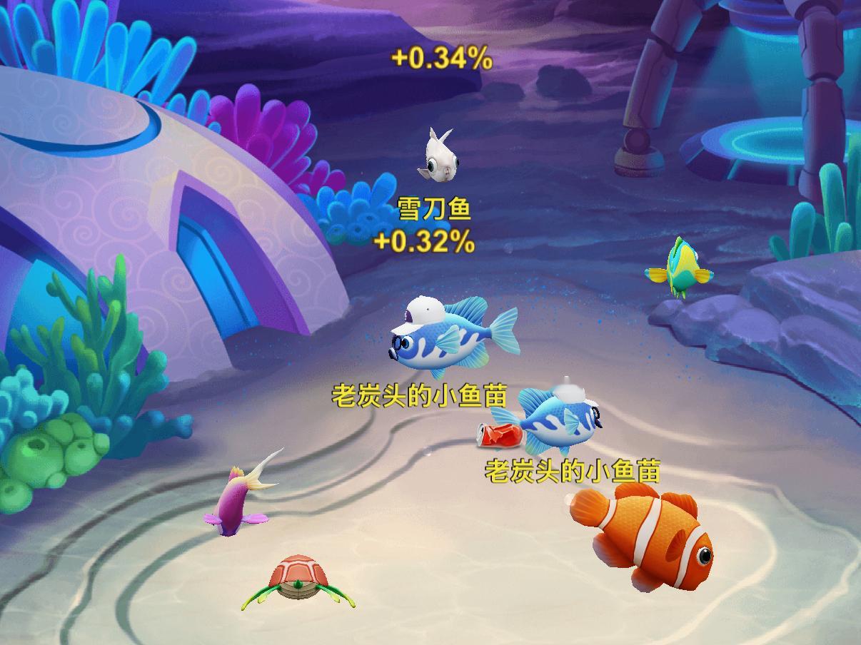 没有椰林缀斜阳，只是一片海蓝蓝~这是渔场网页链接