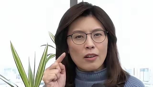 郑丽文曾公开喊话大陆：请大陆的一些朋友不要对台湾喊打喊杀。

郑丽文说，台湾被清